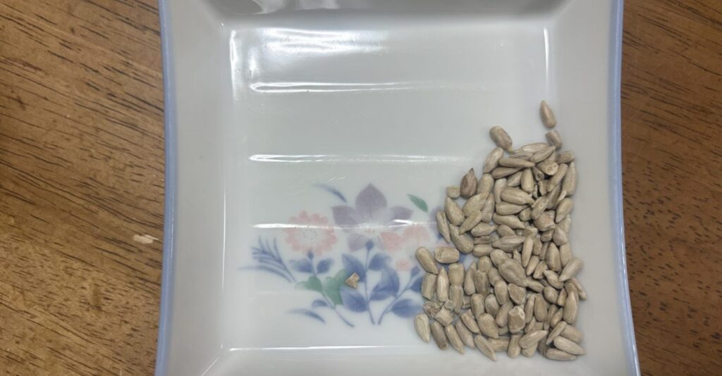 ひまわりの種を小皿に入れている自撮り
